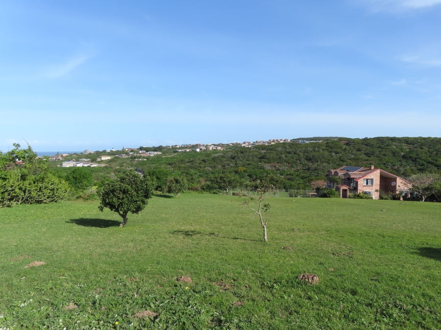 0 Bedroom Property for Sale in Forest Downs Eastern Cape